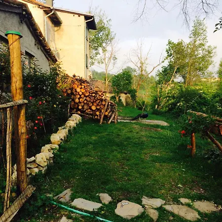Il Della Salute Montese